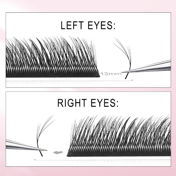 5D Fox YY Lash Extensions – Fluffy Volume for Fox Eye 0.07