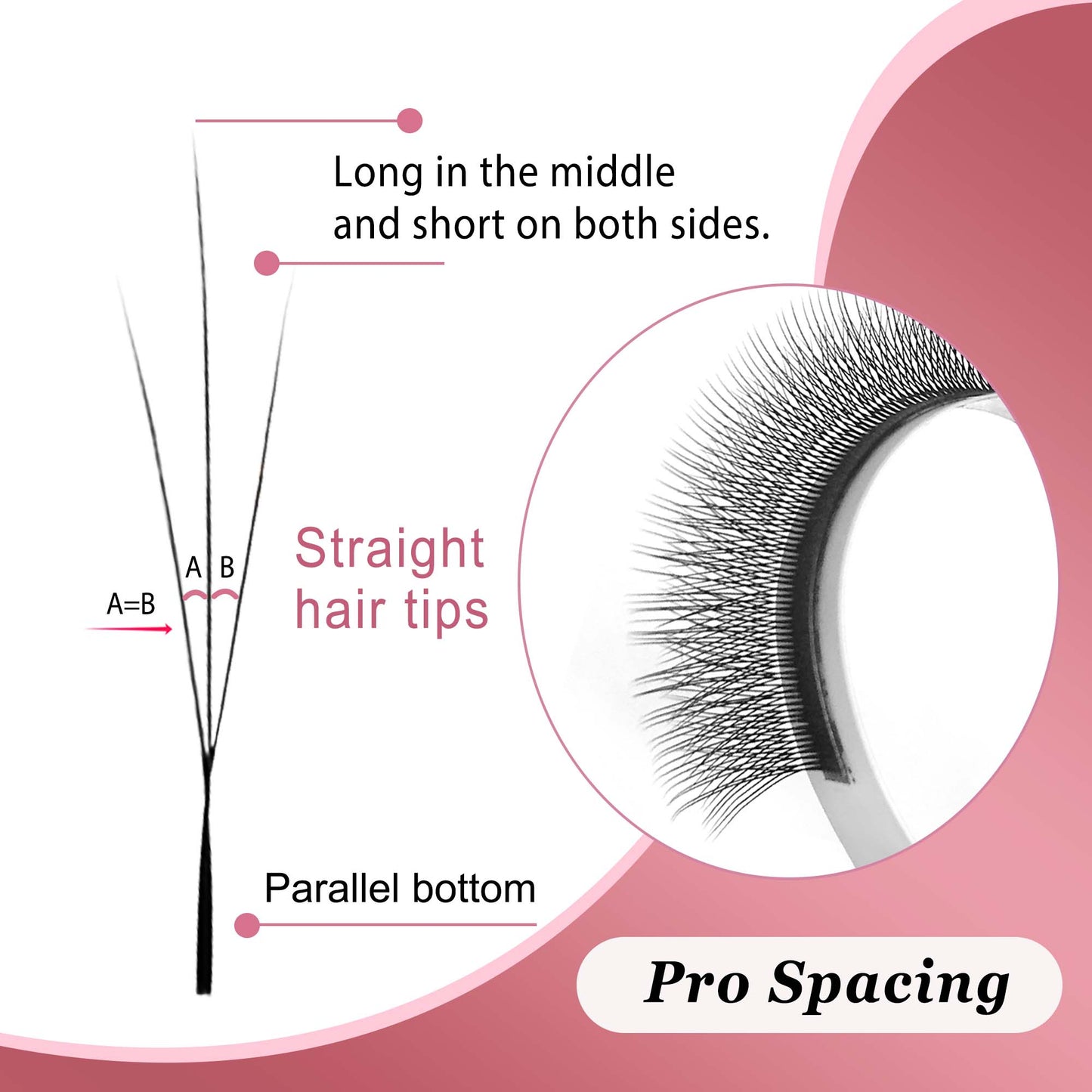 3D Spark Clover W Shape Lashes | Natural Volume Wholesale Eyelash Extensions