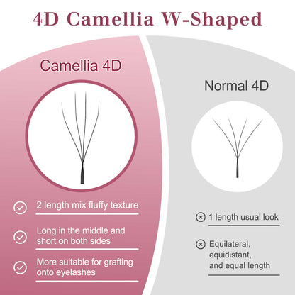 Camellia 4D W Eyelash Extensions | Premade Volume Lashes