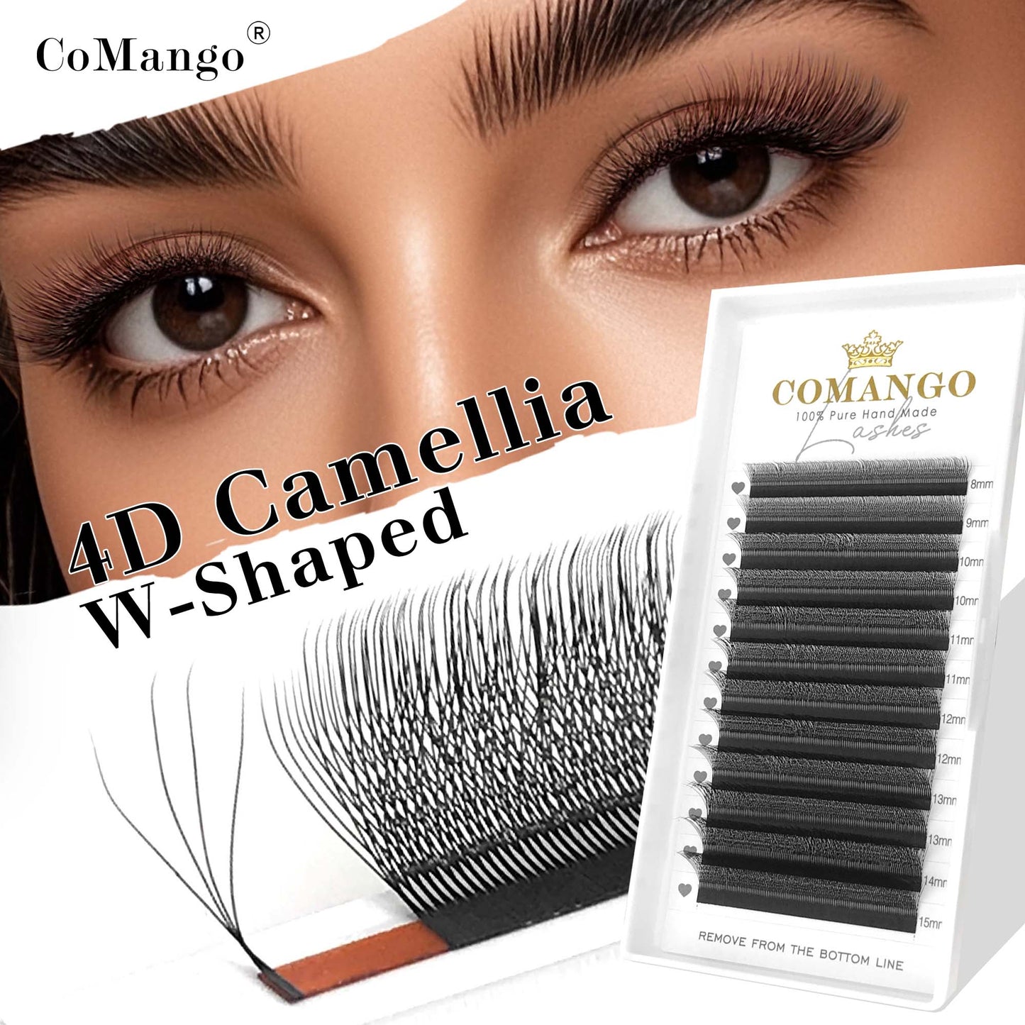 Camellia 4D W Eyelash Extensions | Premade Volume Lashes