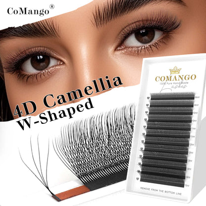 Camellia 4D W Eyelash Extensions | Premade Volume Lashes