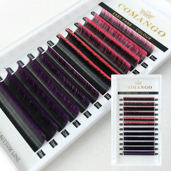 CoMango Lashes two-color easy fans lash extensions 0.07mm in ombre pink & ombre purple, vibrant blooming dual-tone lashes for bold and stylish lash sets